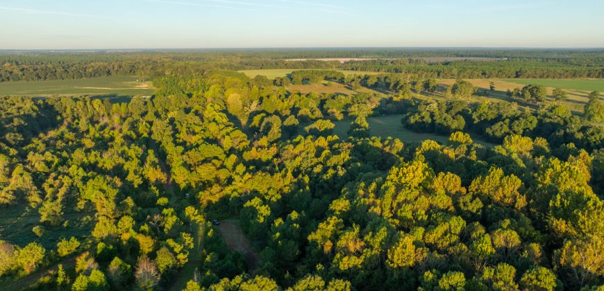 Limestone Creek Farm