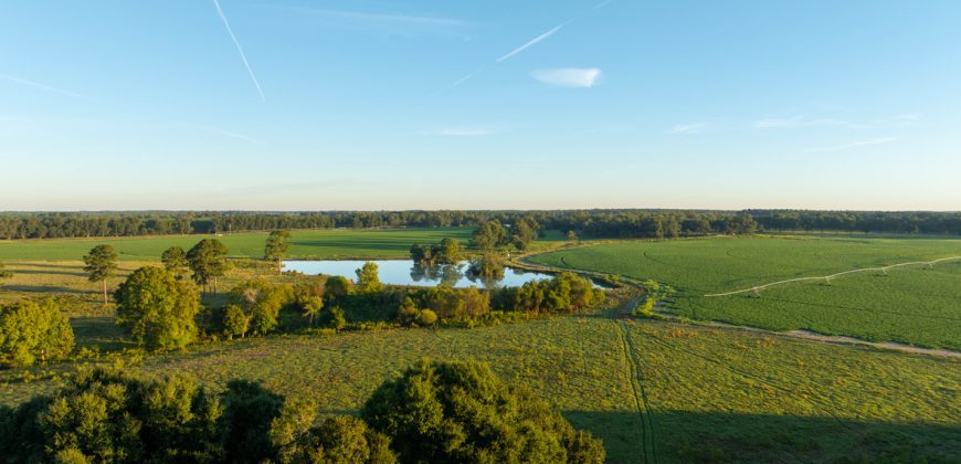 Limestone Creek Farm