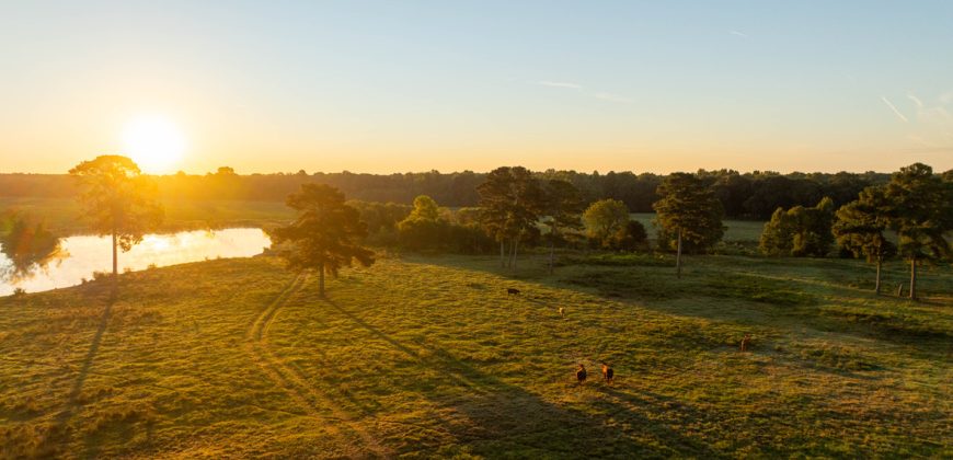 Limestone Creek Farm