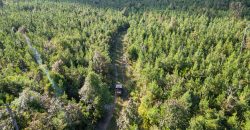 Meadow Creek Plantation