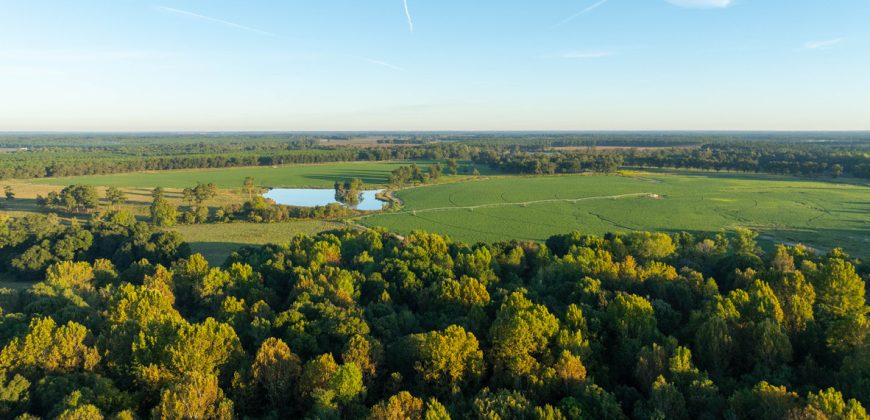 Limestone Creek Farm