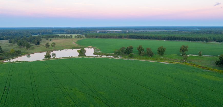 Limestone Creek Farm