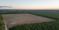 Meadow Creek Plantation