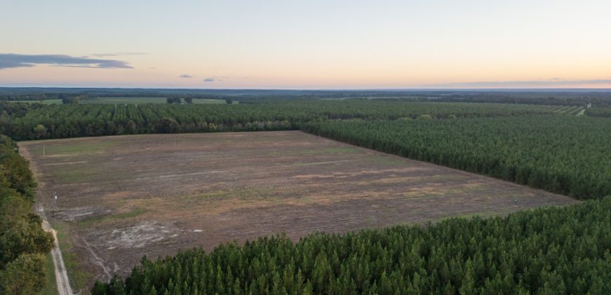 Meadow Creek Plantation