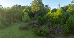 Limestone Creek Farm