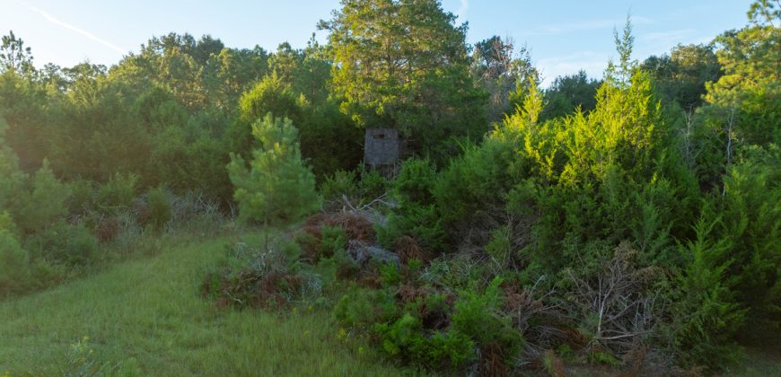 Limestone Creek Farm