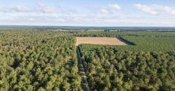 Meadow Creek Plantation