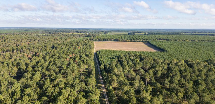 Meadow Creek Plantation