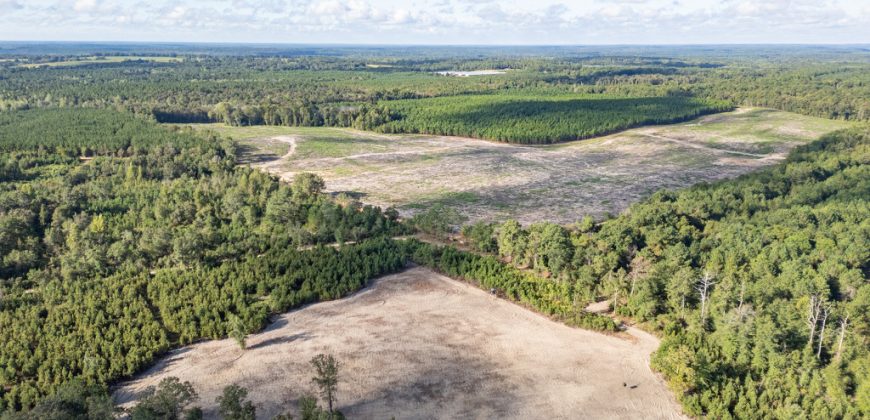Meadow Creek Plantation