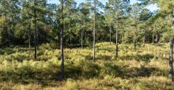 Rut Property