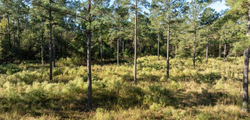 Rut Property