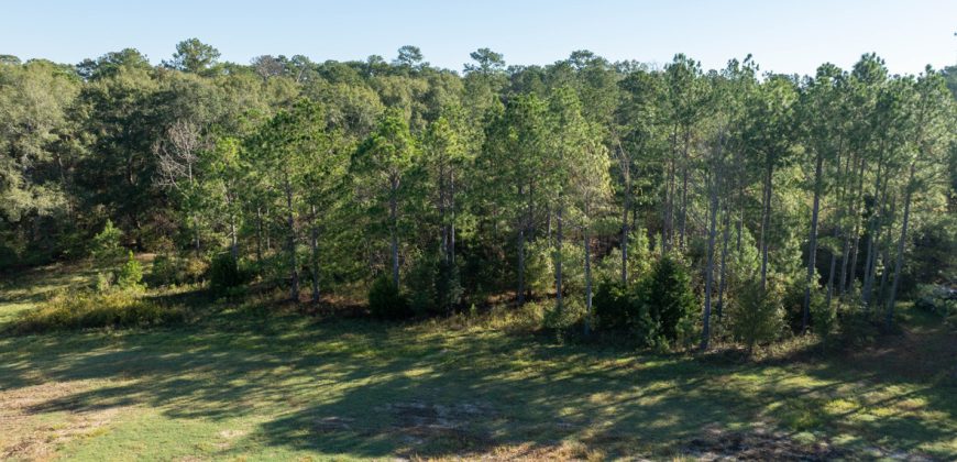 Rut Property