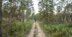 Meadow Creek Plantation