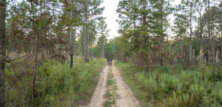 Meadow Creek Plantation