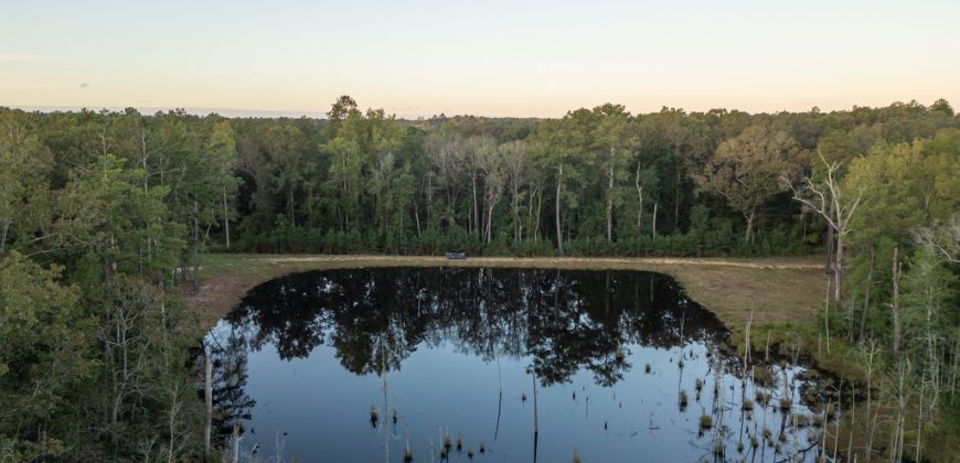 Meadow Creek Plantation