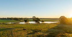 Limestone Creek Farm
