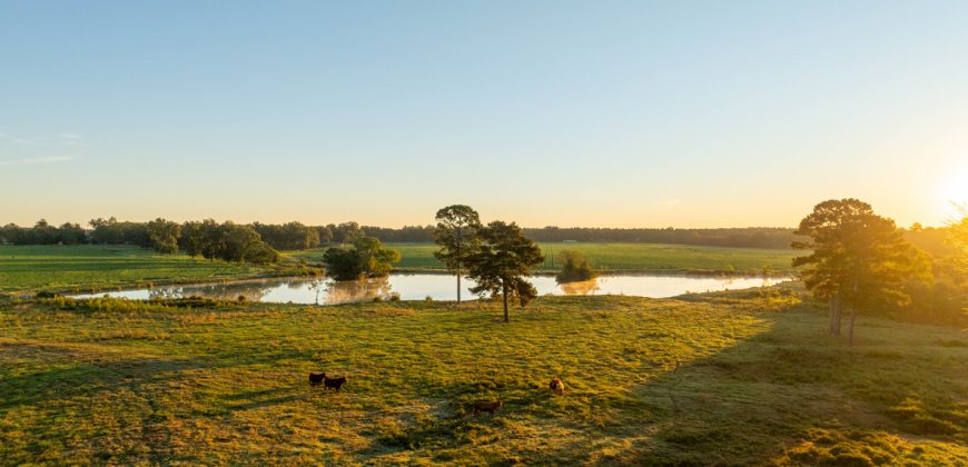 Limestone Creek Farm